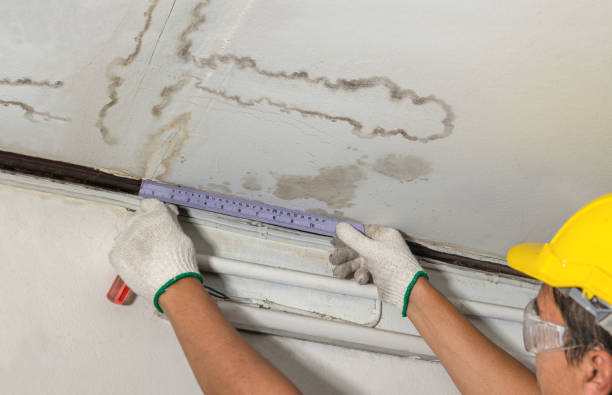 Reliable Water Damage contractor in Dublin, GA by Water Damage Irwin